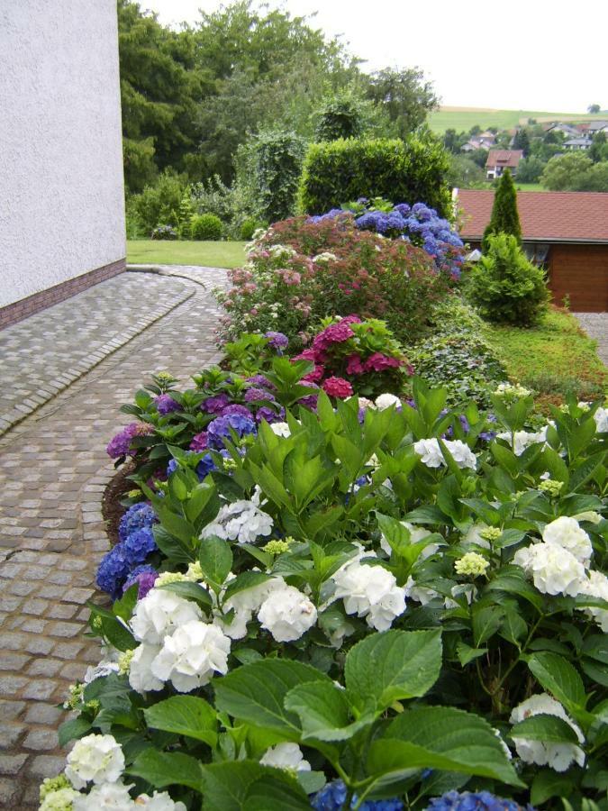 Ferienwohnung "Am Fuchsgraben" Tholey Exteriör bild
